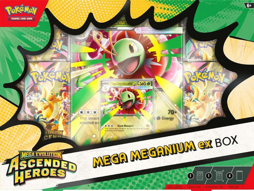 Ascended Heroes ex Box